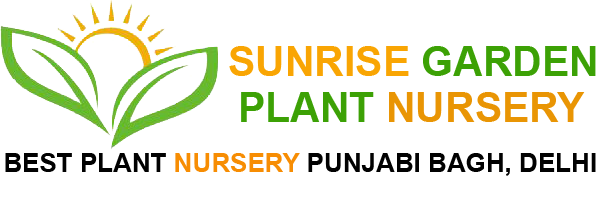 Sunrise Garden Plant Nursery Logo